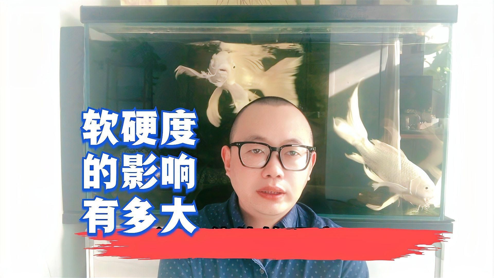 西安魚友如何應(yīng)對(duì)硬水問題（如何判斷自家魚缸的硬度）