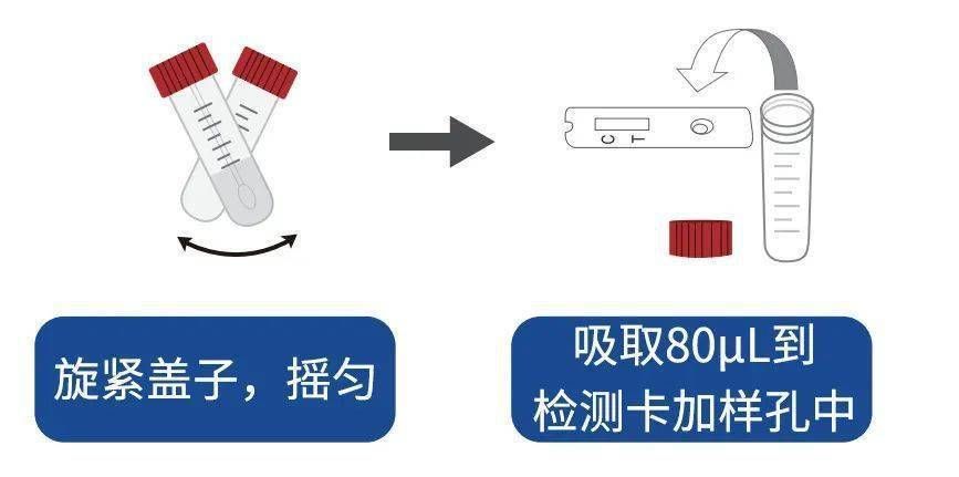 能否提供更詳細的檢測步驟（關于新冠病毒抗原自測）