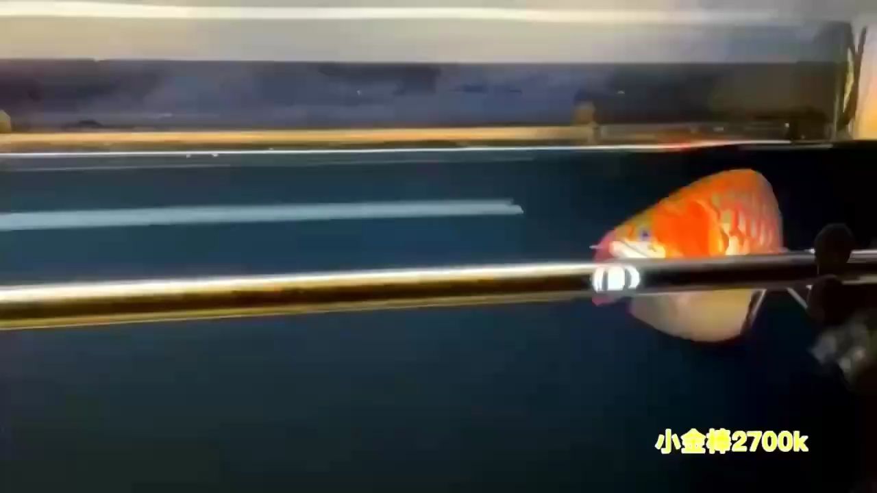 哈哈（哈希函數的基本原理）