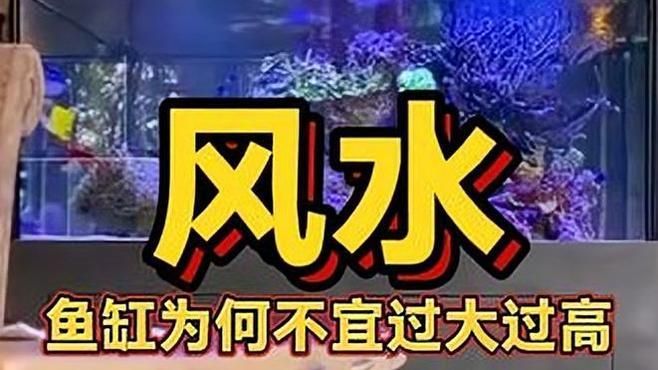 魚缸一般多高才<strong><mark>吉利</mark></strong>（魚缸高度與命理五行關系如何判斷魚缸的財位在哪里）