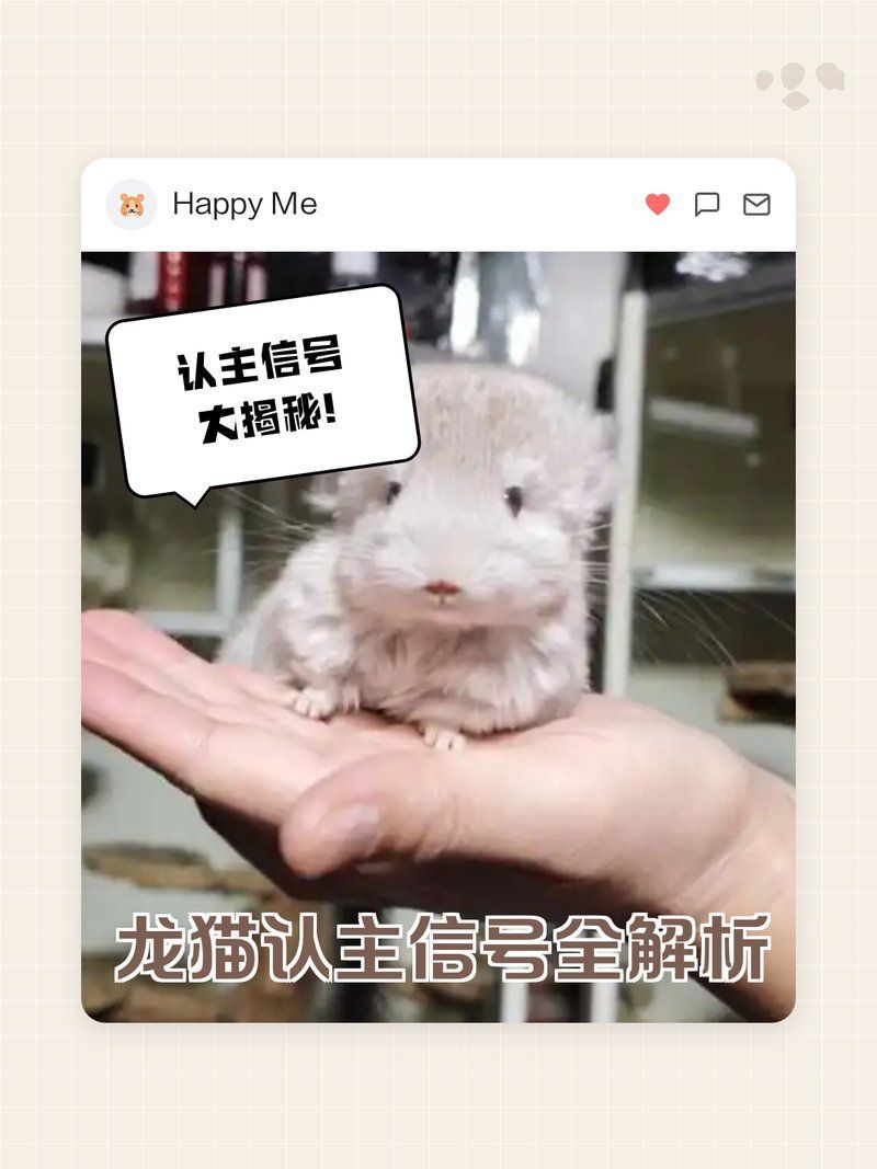 有哪些方法可以加速龍貓認(rèn)主（《龍貓認(rèn)主信號全解析》）