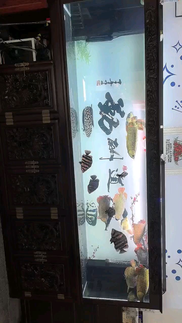 九龍五虎（九龍五虎事件反映了當時中日兩國之間的緊張關系和沖突）