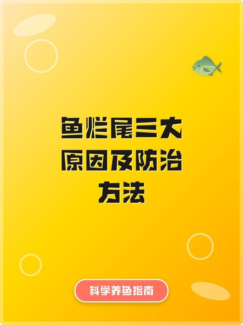 魚爛尾會傳染嗎（魚爛尾會傳染嗎，魚爛尾能自愈嗎，）