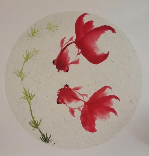 有沒有國畫金魚的視頻教程