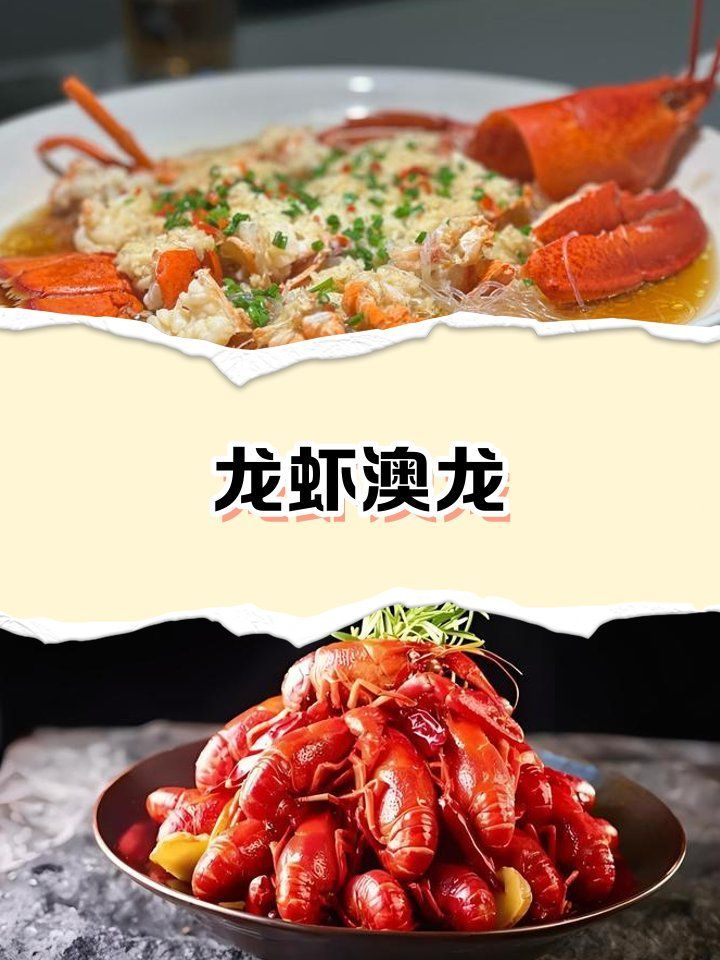 如何區分澳龍和紅龍（澳龍和紅龍哪個更受歡迎澳龍和紅龍哪個更受歡迎）