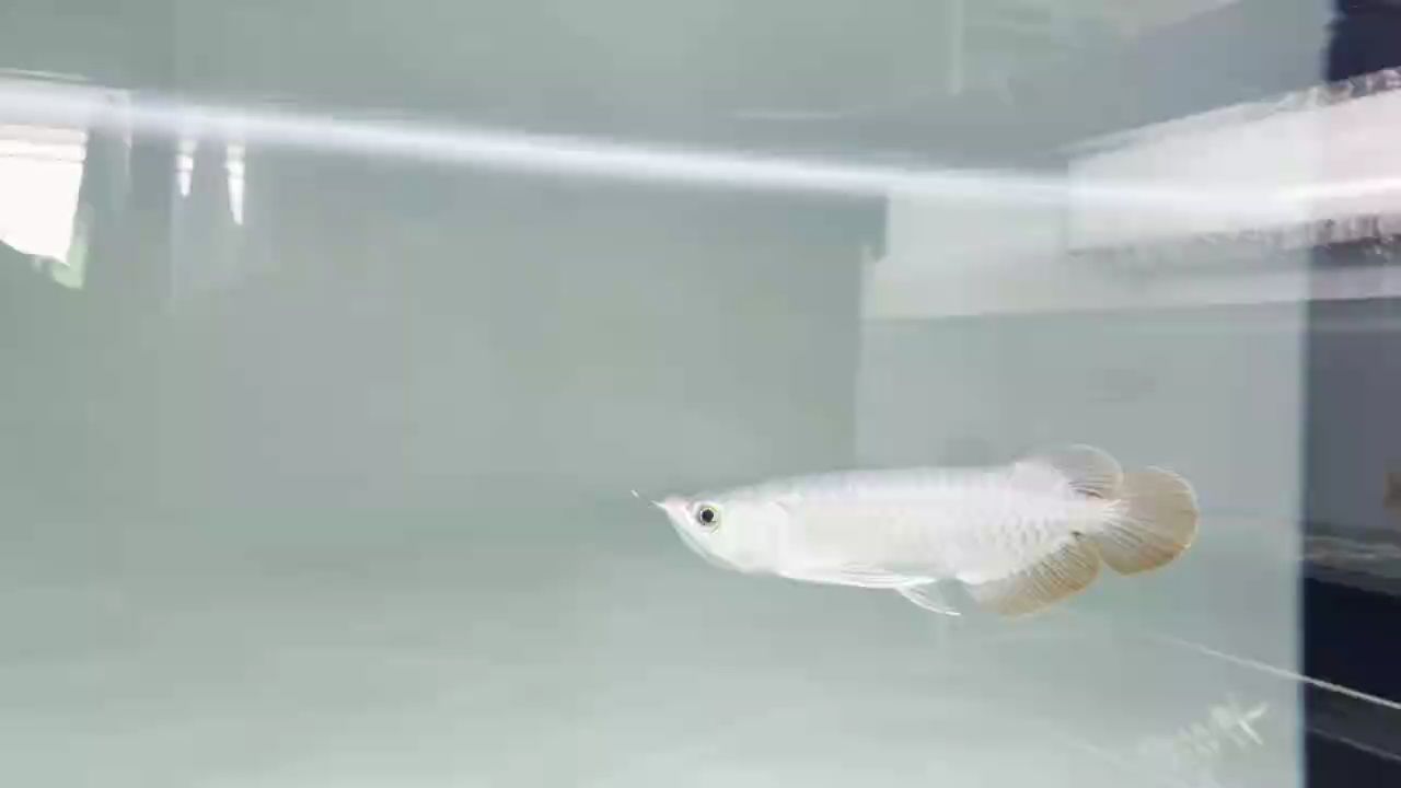 近距離記錄一下！（如何通過近距離觀察和記錄來增強學習體驗，增強學習體驗）