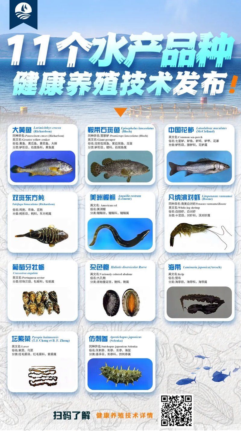 寧德龍魚的養殖技術有哪些？（寧德大黃魚養殖技術）