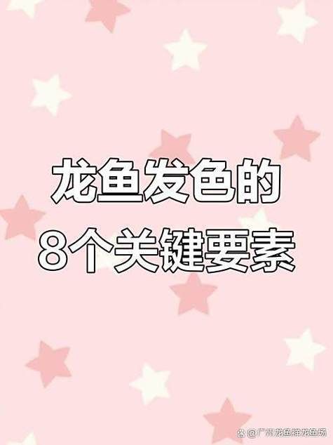 如何安全地接觸小火龍魚（安全接觸小火龍魚）