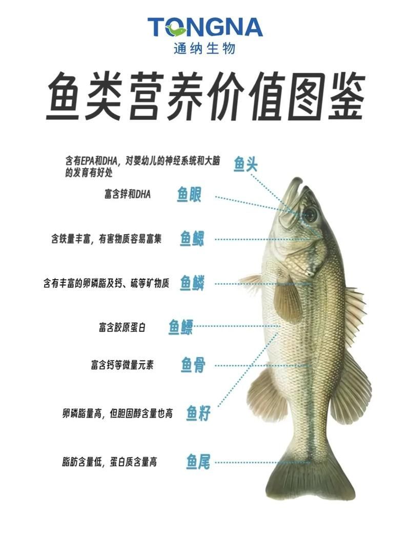 如何安全地食用魚類（衛健委、中國衛健委、中國衛健委、中國衛健委、中國營養學會建議）