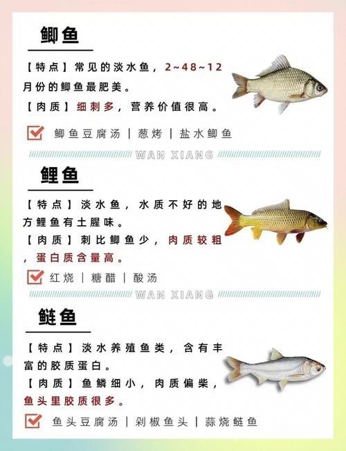 如何安全地食用魚類（衛健委、中國衛健委、中國衛健委、中國衛健委、中國營養學會建議）