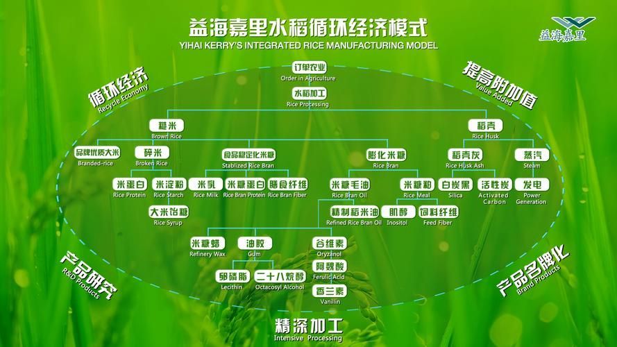 金龍魚在新業務領域的進展如何（進軍“大健康”的金龍魚）