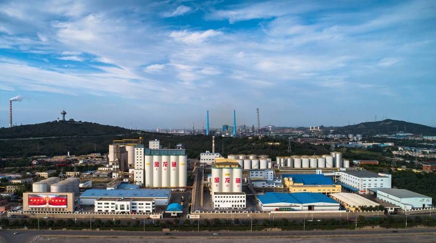 金龍魚在新業(yè)務(wù)領(lǐng)域的進(jìn)展如何（進(jìn)軍“大健康”的金龍魚）