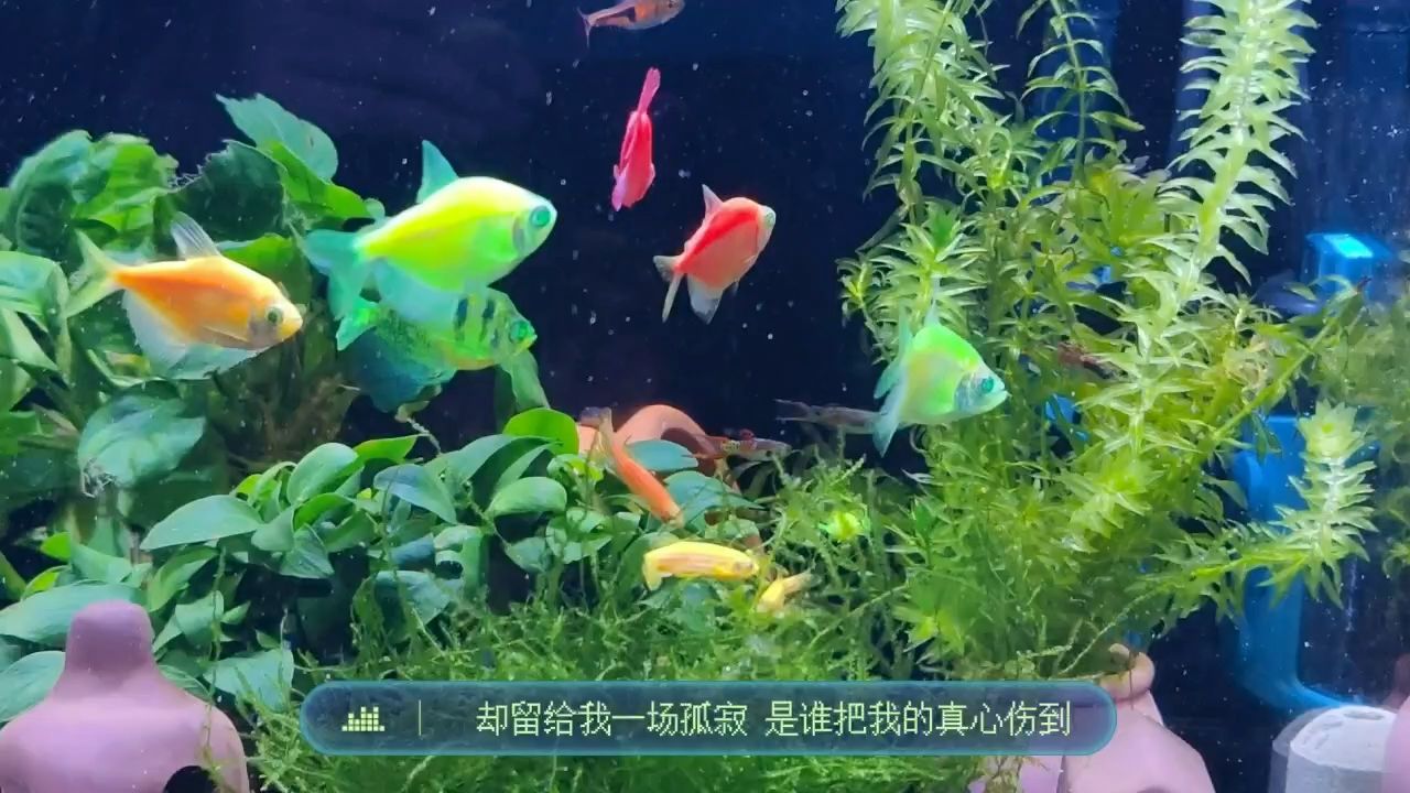 忽然下起雨（一場突如其來的降雨）