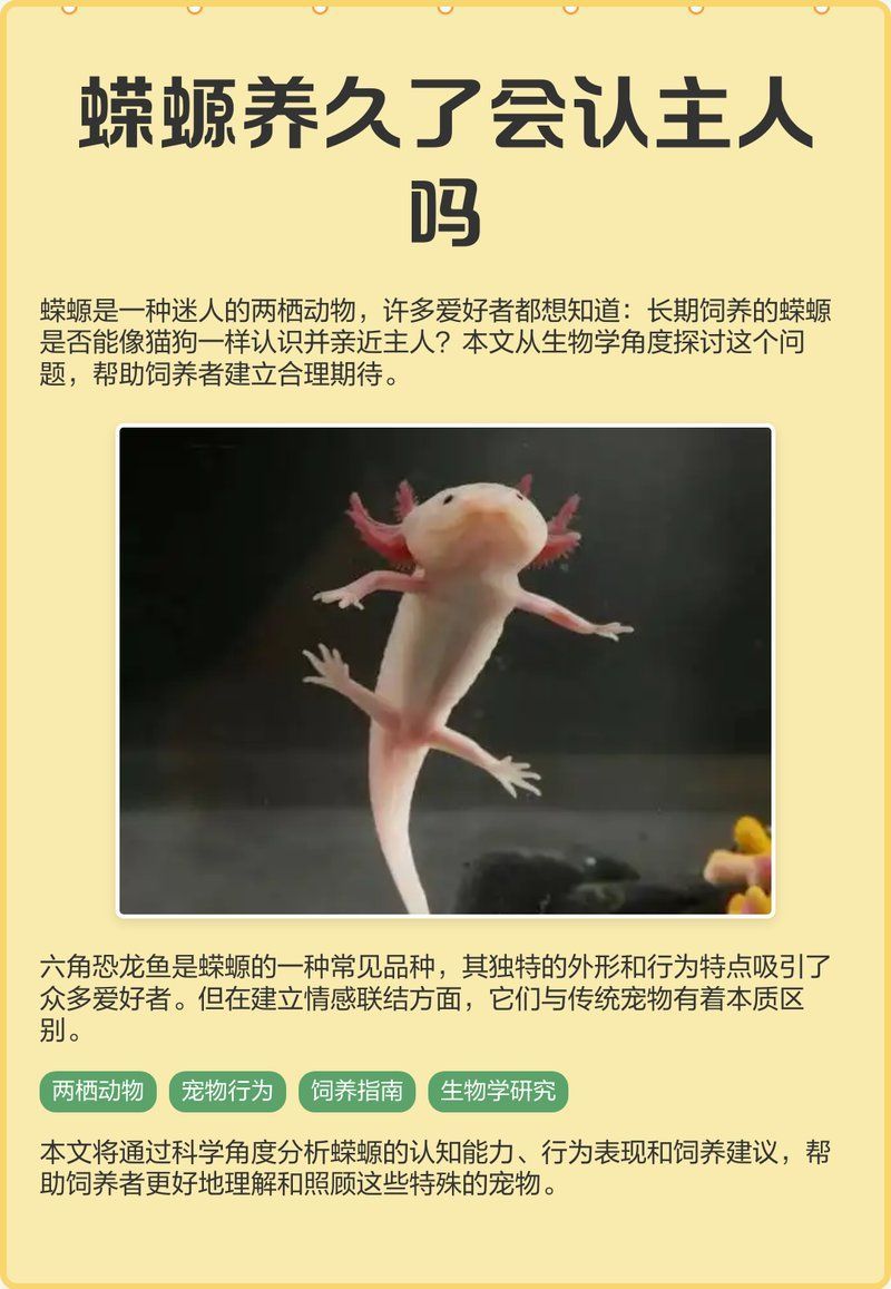 火龍魚蠑螈認主人嗎（火龍魚和蠑螈會認主人嗎）