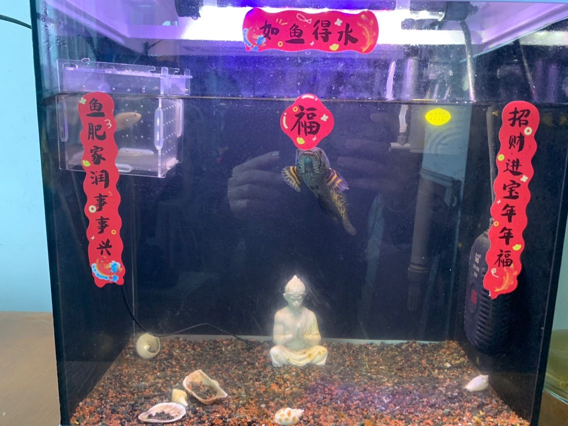魚吐福氣。（吐福氣是一句寓意吉祥的俗語，通常用來祝福他人）