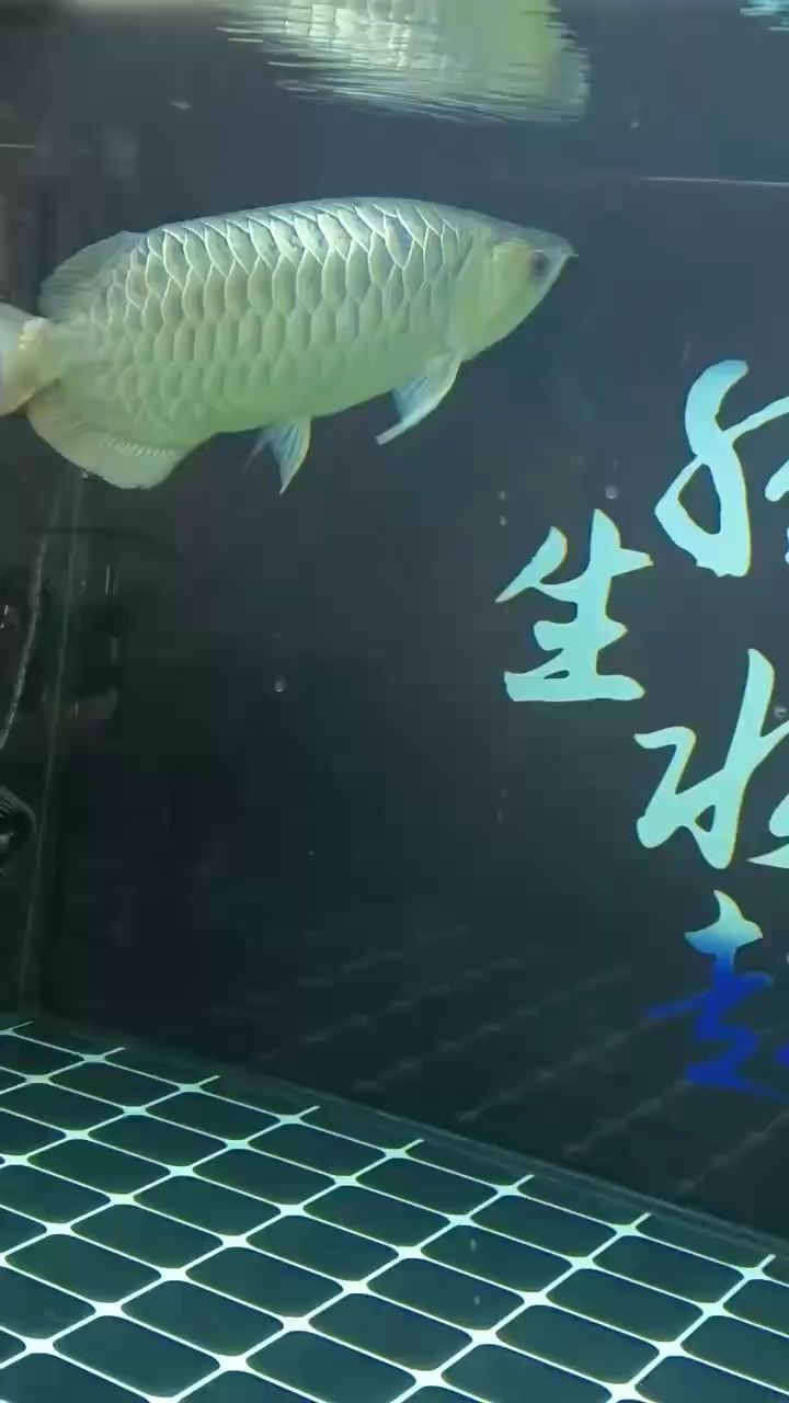 哈哈（《哈哈，生活真奇妙》）