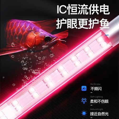 YEE意牌龍魚燈光有哪些型號？（yee意牌龍魚燈型號參數）