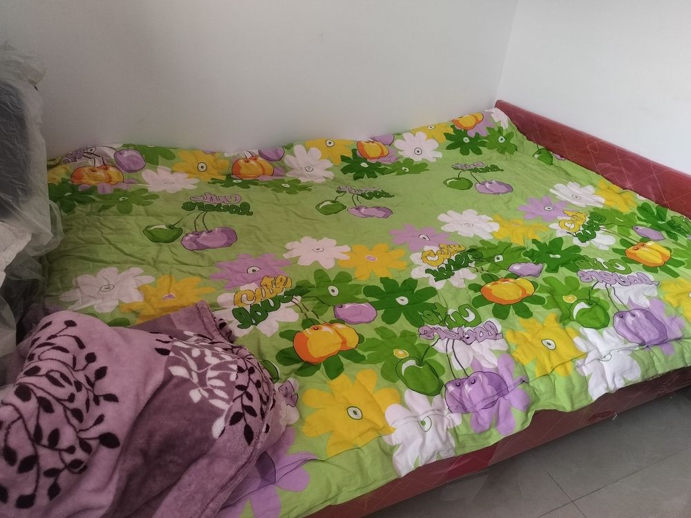 收拾一下（“收拾一下”在心理學(xué)和生理學(xué)上的影響）