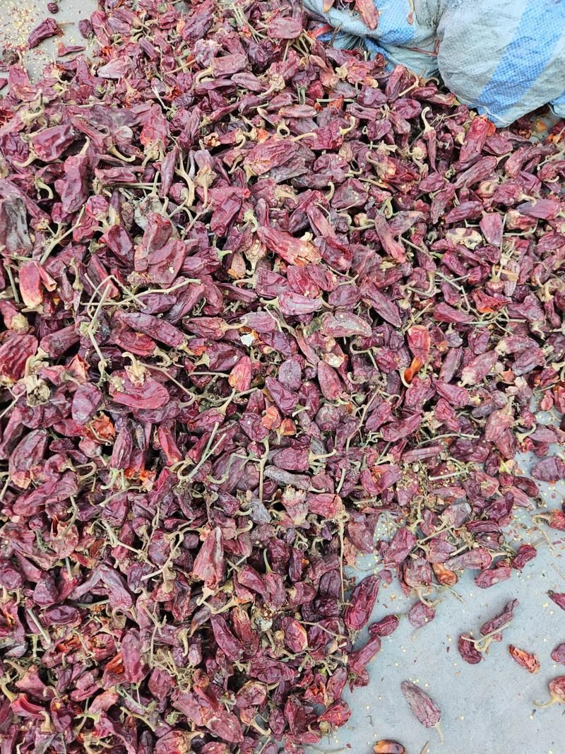 如何區分福清龍魚的品種？