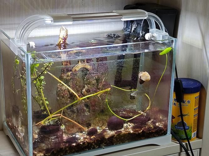 魚缸燈推薦（魚缸燈實物圖、光譜分布圖、光譜分布圖、光譜分布圖）