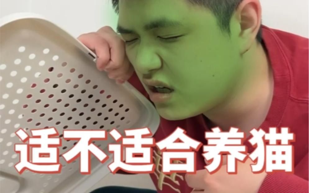 如何判斷自己是否適合養貓（養貓的基本需求和性格特點至關重要，養貓的基本需求）