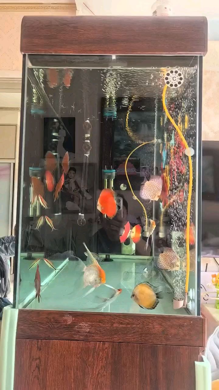 （ai在醫療領域的應用與挑戰）