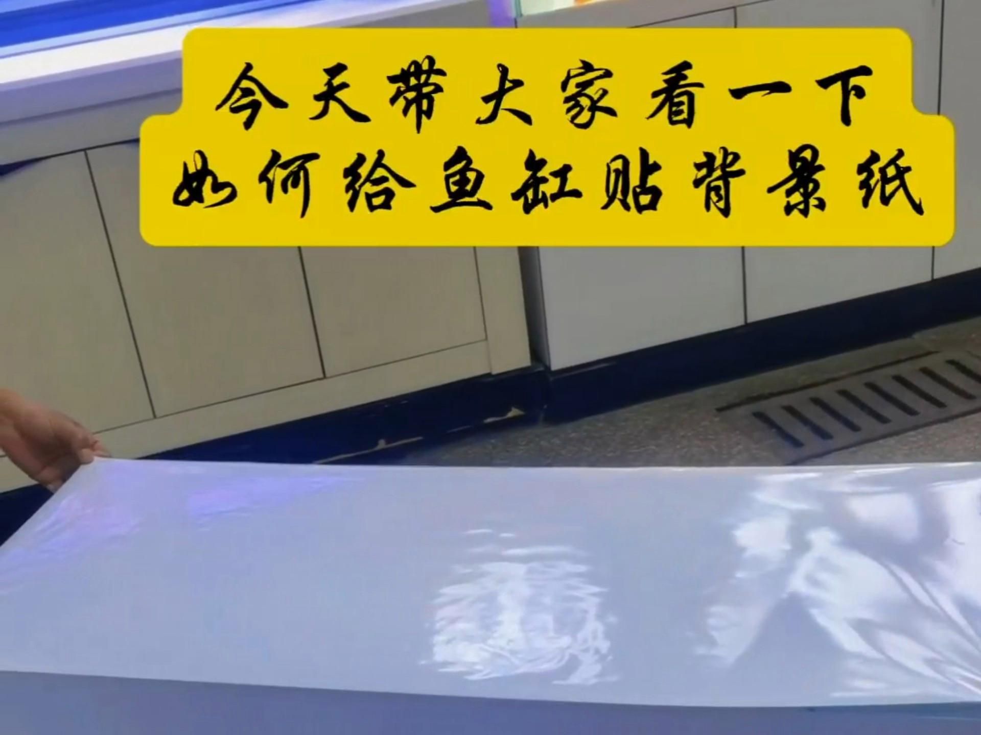 如何選擇適合龍魚水族箱的背景貼紙？（如何選擇適合龍魚水族箱的背景貼紙）
