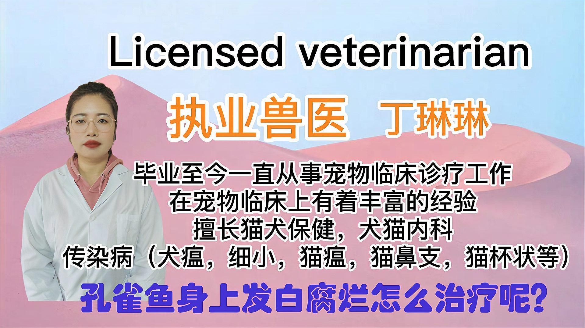 孔雀魚身上發白腐爛怎么治療（孔雀魚發白腐爛會自愈嗎,如何預防孔雀魚身上發白腐爛）