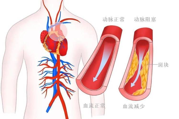 能否提供更詳細的充血征兆描述（arxiv論文助手arxiv論文助手獲取權威醫學文獻）