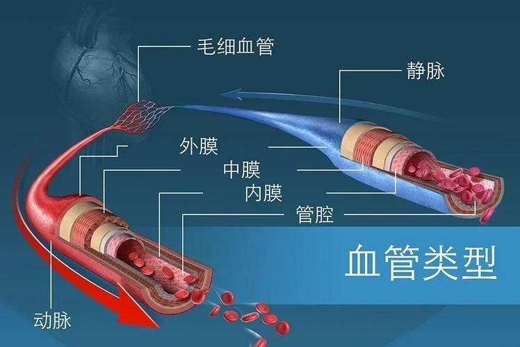 能否提供更詳細的充血征兆描述（arxiv論文助手arxiv論文助手獲取權威醫學文獻）