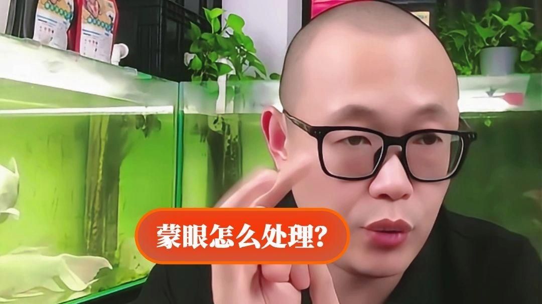 蒙眼病的魚怎么治療，魚蒙眼病多久能治好