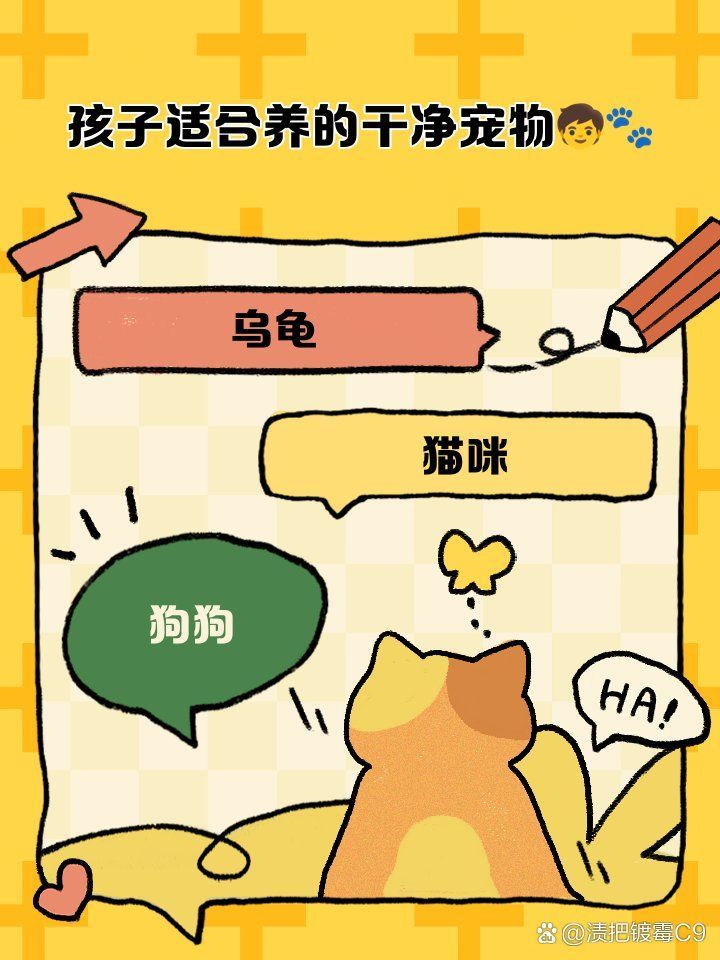 龍魚和烏龜哪個更適合孩子飼養，孩子適合養的寵物推薦