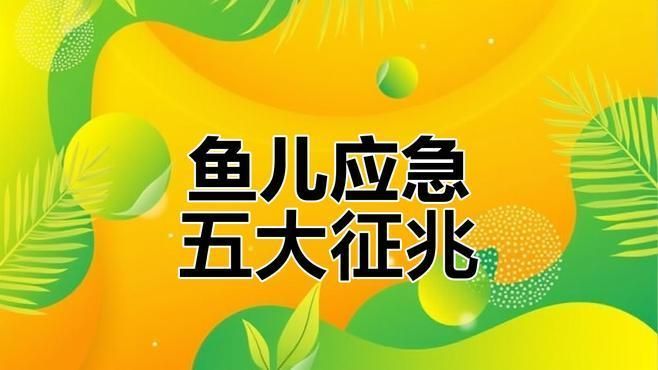 如何判斷魚群是否處于應激狀態，——l、亞硝酸鹽＞0.1mg/l、亞硝酸鹽＞l