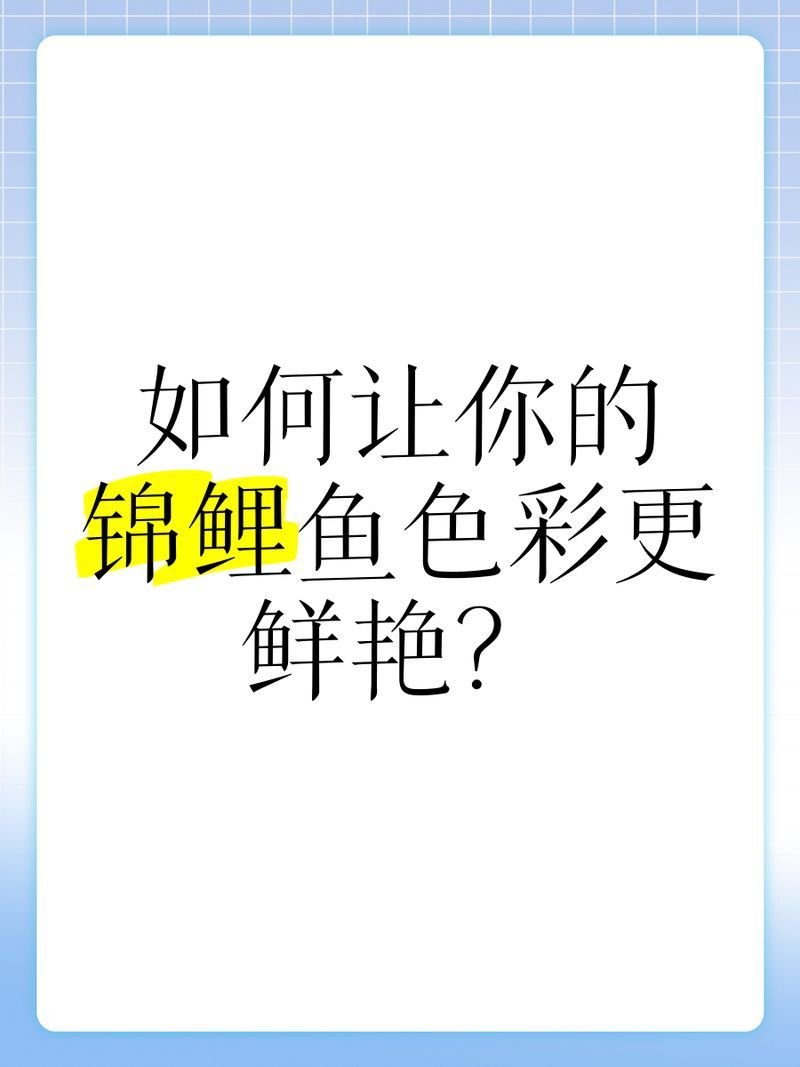 如何提升觀賞魚的色彩鮮艷度，如何提高觀賞魚的色彩鮮艷度？
