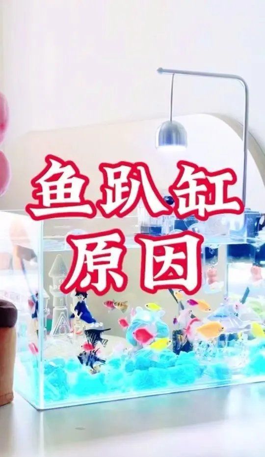 魚兒趴缸多久會死，魚兒為何趴缸原因及解決方案大揭秘