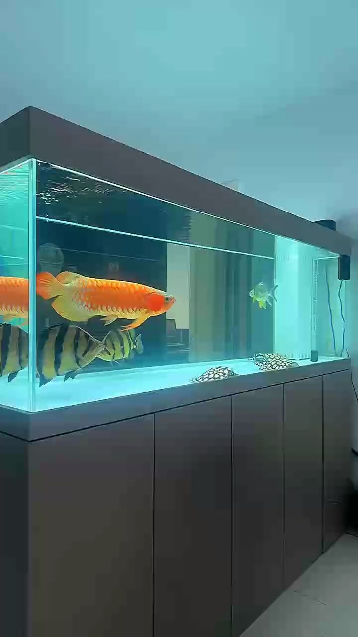 打卡，[aini],小伙不帥_人見(jiàn)人愛(ài)評(píng)論