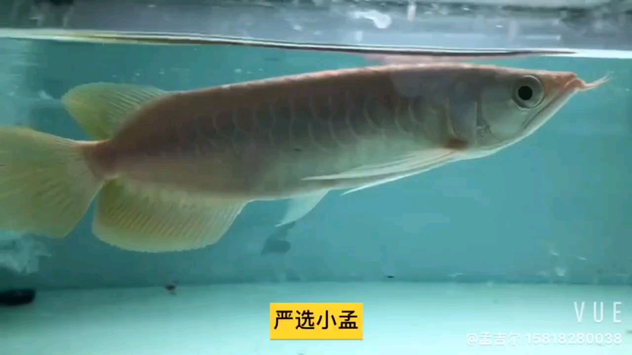 轉(zhuǎn)發(fā)991，個(gè)人信息保護(hù)的挑戰(zhàn)