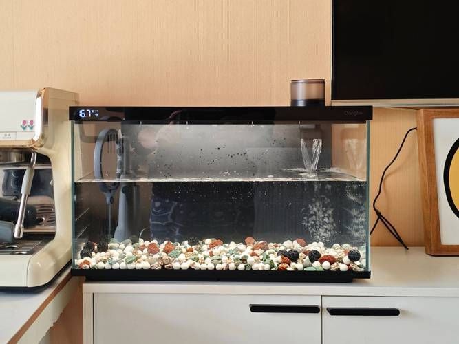 哪個品牌的魚缸最好？，2026主流魚缸哪個品牌好