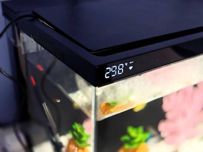 哪個品牌的魚缸最好？，2026主流魚缸哪個品牌好