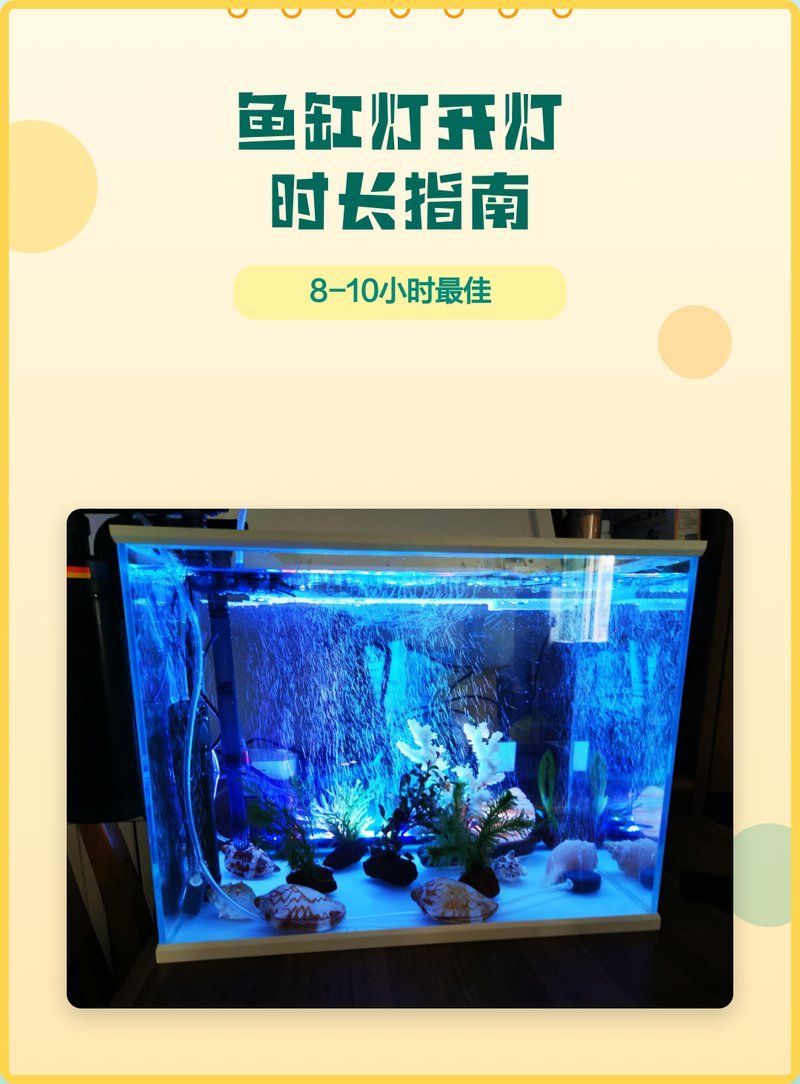 魚缸開燈時間多久合適，魚缸開燈時間如何設置