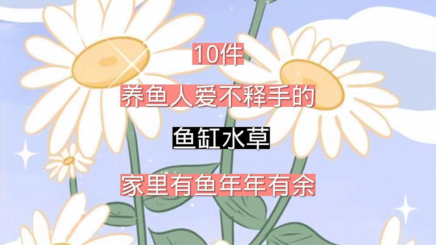龍魚(yú)缸中水草如何種植和維護(hù)，龍魚(yú)缸中種植水草是完全可行的，關(guān)鍵在于合理規(guī)劃空間、選擇耐折騰的水草品種