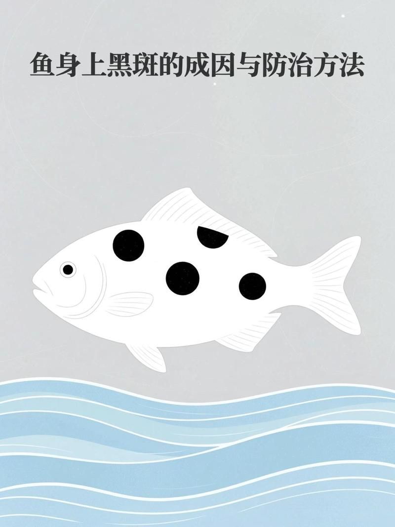 魚黑色霉斑會傳染嗎，魚身上有黑色霉斑怎么辦