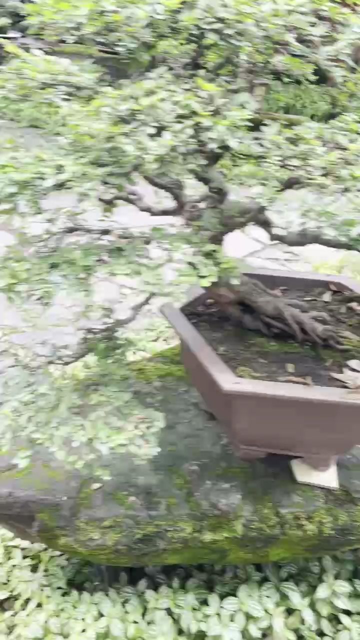 極品，什么是極品？