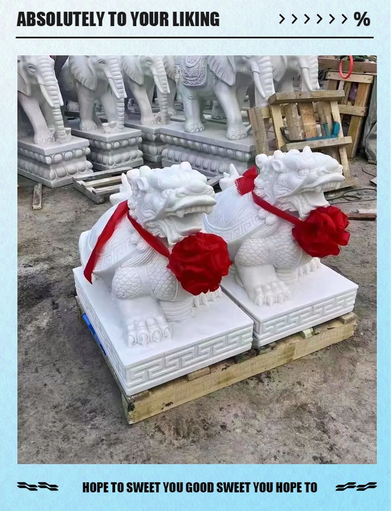 一對龍龜如何擺放，一對龍龜不建議同時擺放，尤其在風水中講究“一為生，二為爭”
