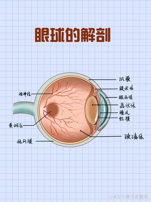 如何治療魚突眼，魚突眼（arxiv論文助手”治療魚突眼（arxiv論文助手）