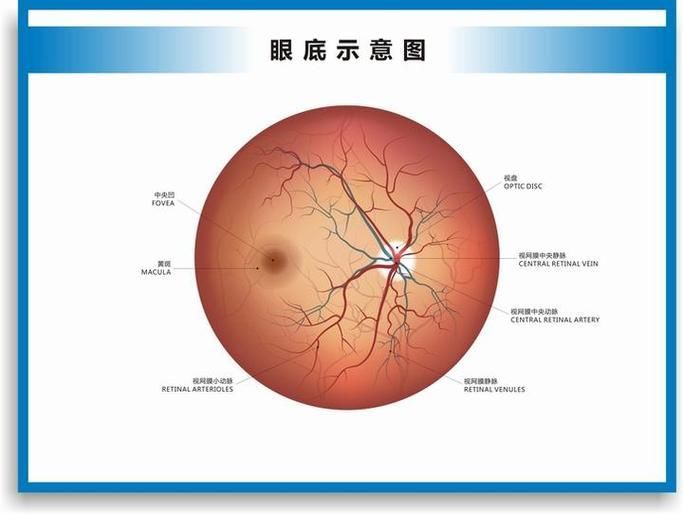 如何治療魚突眼，魚突眼（arxiv論文助手”治療魚突眼（arxiv論文助手）