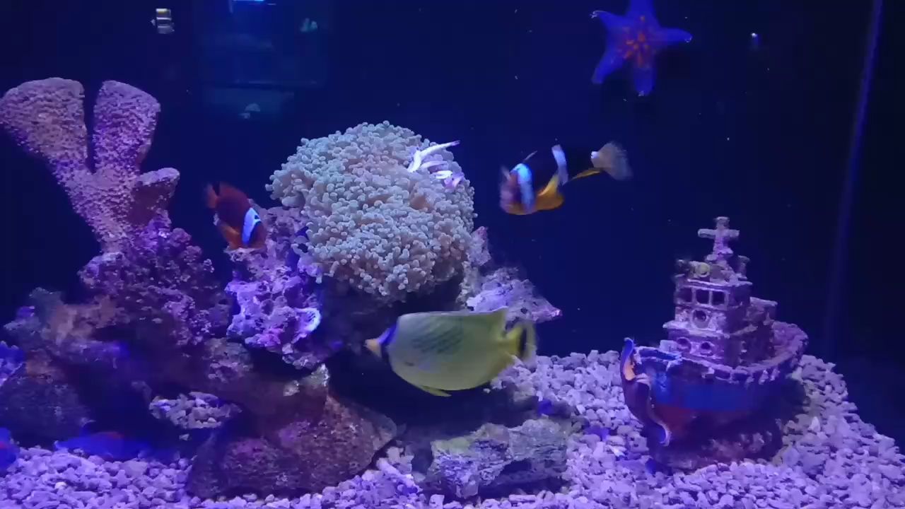 抱一顆平常心，抱一顆平常心不僅有助于個(gè)人的心理健康，還能提升生活質(zhì)量