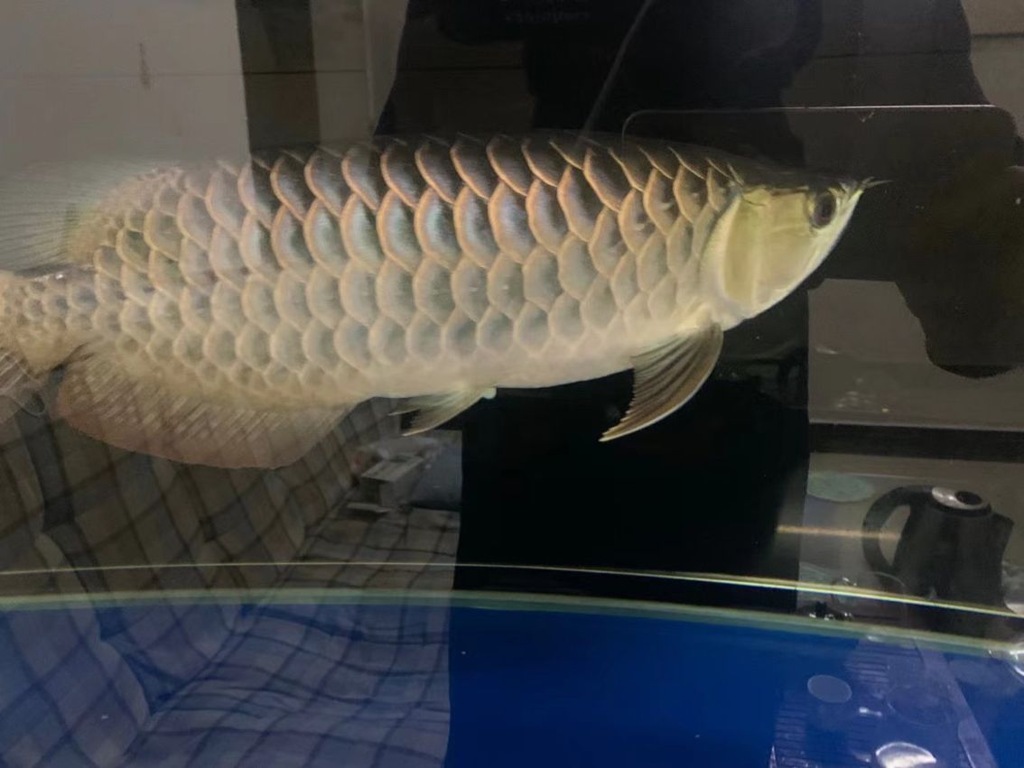 簽到，電子簽到系統(tǒng)在企業(yè)中的應(yīng)用