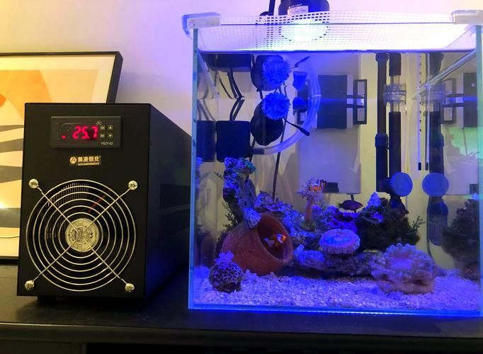 如何降低魚缸中的水溫到30度？，如何將魚缸水溫降至30度