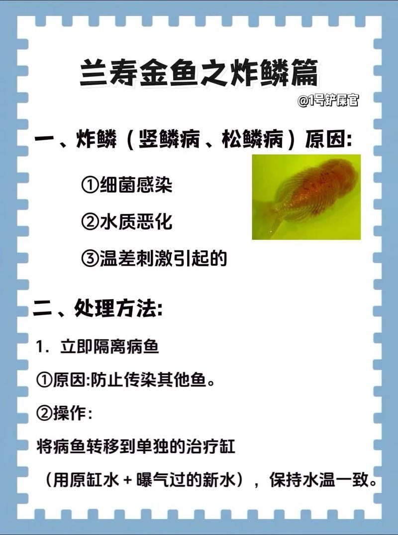 給我一些金龍魚疾病預防的圖片，金龍魚疾病預防